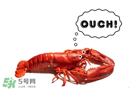 波士頓龍蝦有什么簡(jiǎn)單好吃的做法？波士頓龍蝦要怎么殺