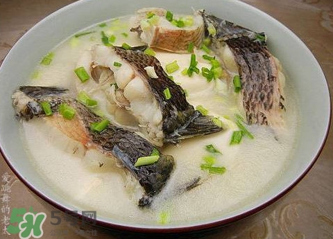 黑魚湯是發(fā)物嗎？黑魚湯可以放香菇嗎