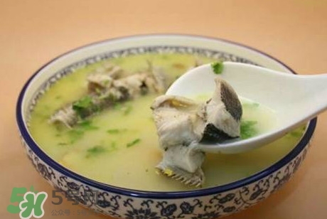 黑魚(yú)湯下奶嗎？黑魚(yú)湯是下奶還是回奶