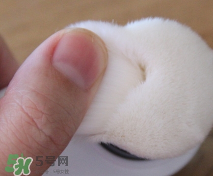 neogen妮珍面膜怎么樣？冷門性價比高的面膜