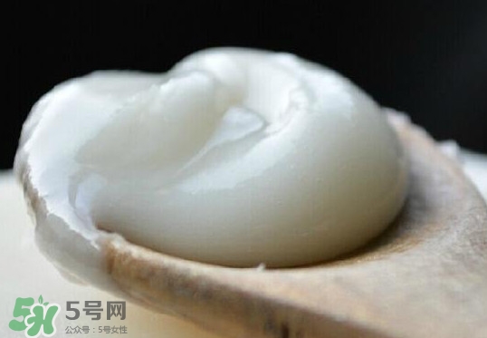 椴樹蜜可以泡檸檬嗎？椴樹蜜放冰箱冷藏好還是冷凍好
