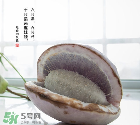 八月瓜可以泡酒嗎？八月瓜可以治乙肝嗎