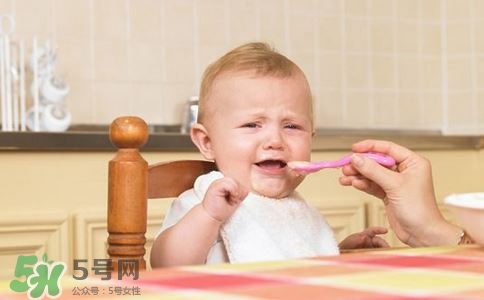 寶寶輔食可以吃哪些蔬菜？寶寶吃蔬菜泥的最佳時(shí)間