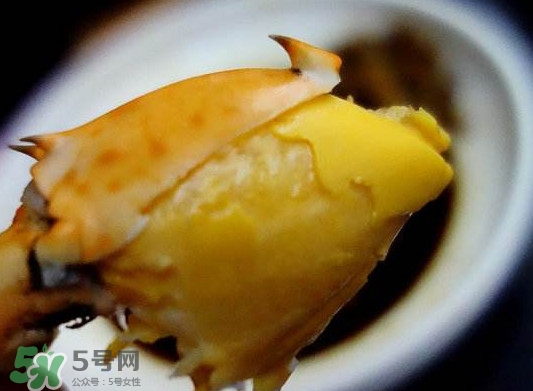 黃油蟹是什么蟹？黃油蟹多少錢一只