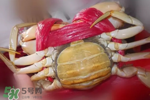 黃油蟹是海蟹嗎？黃油蟹是如何進化的