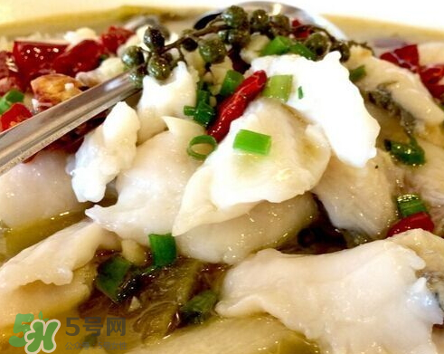 鰱魚可以做酸菜魚嗎？鰱魚怎么做酸菜魚？