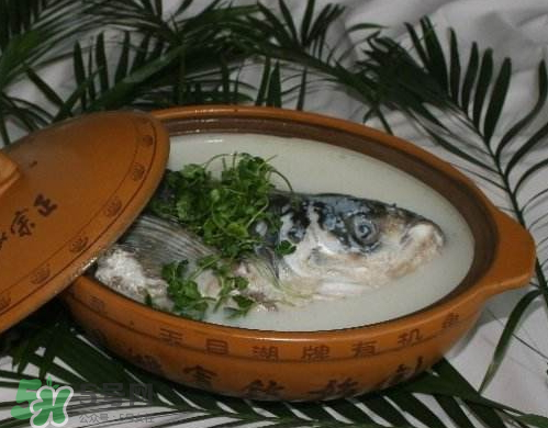 鰱魚頭湯孕婦可以吃嗎？鰱魚頭湯的功效與作用