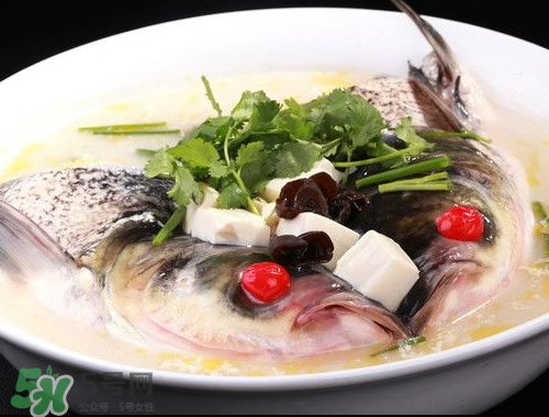 鰱魚頭湯孕婦可以吃嗎？鰱魚頭湯的功效與作用