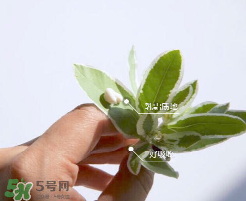 城野醫(yī)生377有副作用嗎？城野醫(yī)生377用了臉癢是什么原因？
