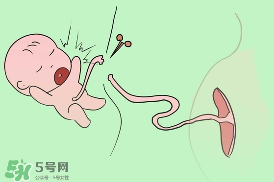 寶寶臍帶什么時候脫落？寶寶臍帶脫落后怎么護理？