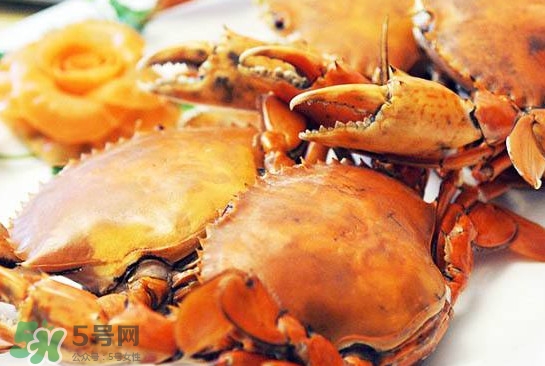 黃油蟹是什么蟹？黃油蟹多少錢一只