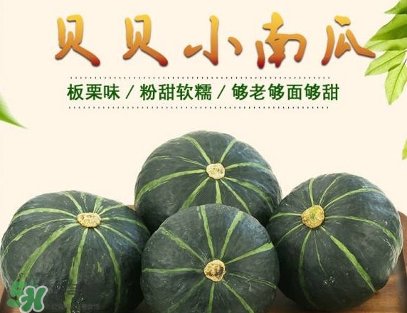 貝貝南瓜蒸多久能吃？貝貝南瓜和普通南瓜有什么區(qū)別