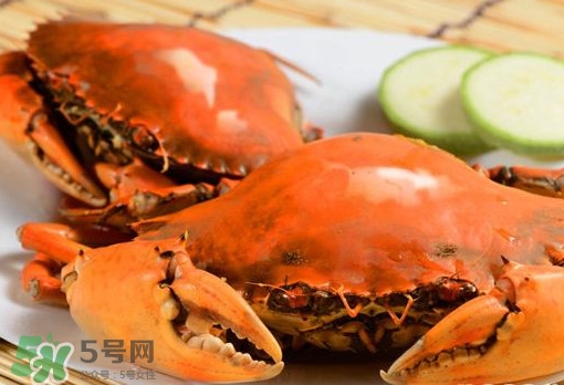黃油蟹的選蟹標(biāo)準(zhǔn)是什么？黃油蟹的等級分類