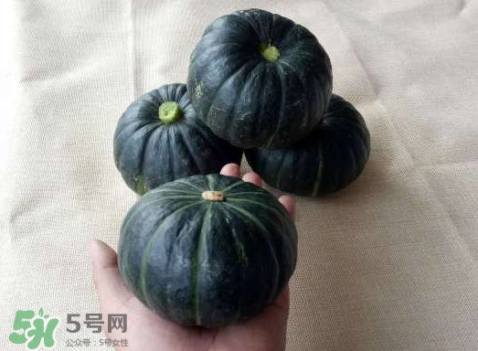 貝貝南瓜是哪里的？貝貝南瓜哪里產(chǎn)的