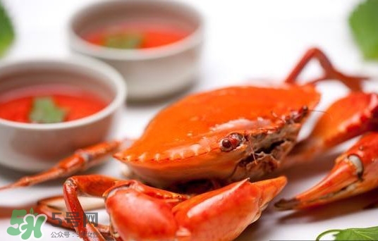 黃油蟹是海蟹嗎？黃油蟹是如何進化的