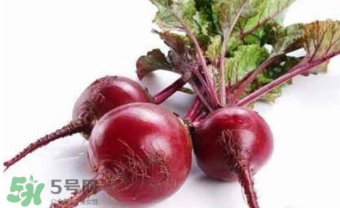 甜菜根是蘿卜嗎？甜菜根是什么菜