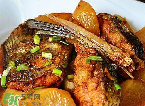 鱸魚可以紅燒嗎？鱸魚清蒸還是紅燒好吃？