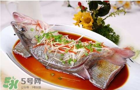鱸魚為什么沒有刺？鱸魚為什么刺少？