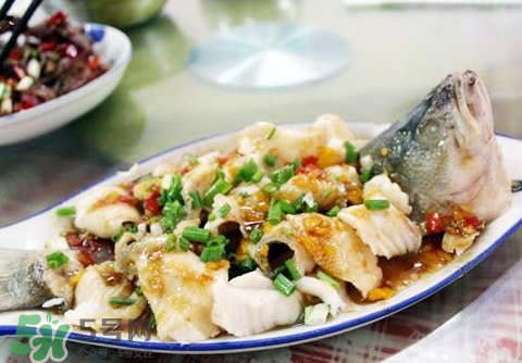 鱸魚為什么沒有刺？鱸魚為什么刺少？
