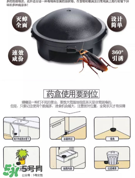 日本蟑螂藥好用嗎？日本蟑螂藥效果評(píng)測(cè)