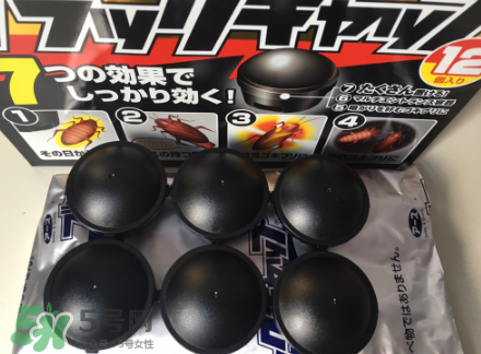 日本蟑螂藥哪里買得到？