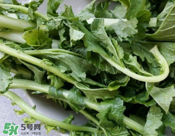 蘿卜纓能吃嗎？蘿卜纓怎么做好吃