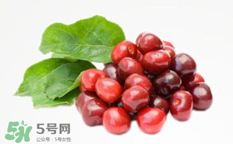 蔓越莓什么時候成熟？蔓越莓什么時候吃最好