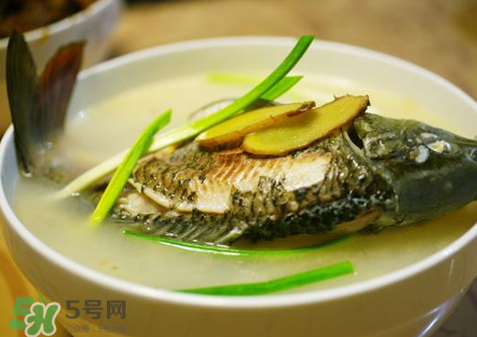 鯉魚湯怎么做好吃？鯉魚湯里面可以放什么？