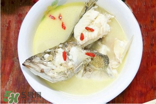 鯉魚湯怎么做好吃？鯉魚湯里面可以放什么？