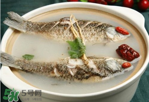鯽魚湯下奶嗎？鯽魚湯的功效與作用