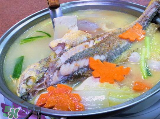 黃魚湯怎么做好吃？黃魚湯的營養(yǎng)價(jià)值