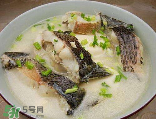 黑魚(yú)湯對(duì)傷口有好處嗎？黑魚(yú)湯的做法術(shù)后恢復(fù)