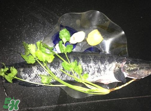 黑魚(yú)湯對(duì)傷口有好處嗎？黑魚(yú)湯的做法術(shù)后恢復(fù)