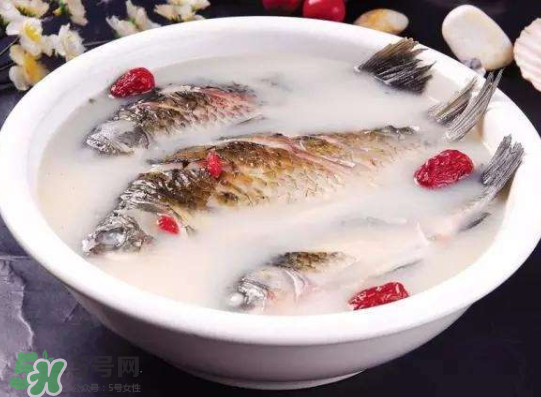 鯽魚湯里可以放什么菜最好？鯽魚燉湯放什么菜？