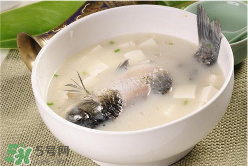 喝鯽魚湯會胖嗎？鯽魚湯可以經(jīng)常喝嗎？