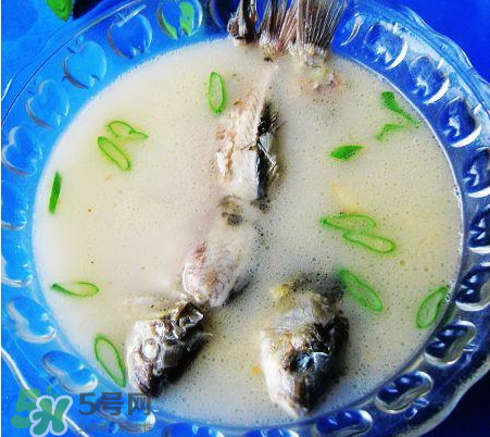 鯽魚湯可以放牛奶嗎？牛奶鯽魚湯的做法