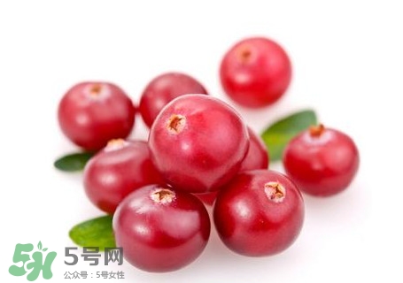 蔓越莓在中國(guó)有嗎？蔓越莓怎么辨別真假