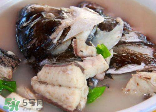 鰱魚湯怎么熬湯？鰱魚湯的功效與作用