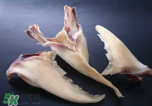 干魚(yú)翅怎么保存？魚(yú)翅可以放多久？