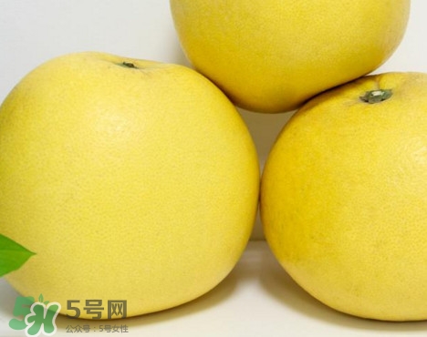 蜜柚是哪個季節(jié)的水果？蜜柚和沙田柚的區(qū)別是什么？