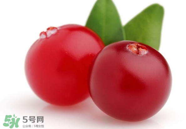 蔓越莓是藍(lán)莓嗎？蔓越莓是哪里產(chǎn)的