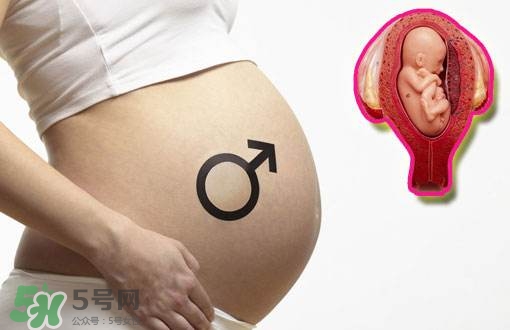 導(dǎo)樂分娩怎么樣？導(dǎo)樂分娩全過程