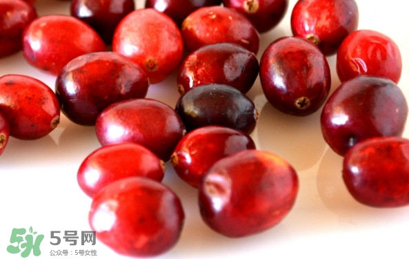 蔓越莓什么時候成熟？蔓越莓什么時候吃最好