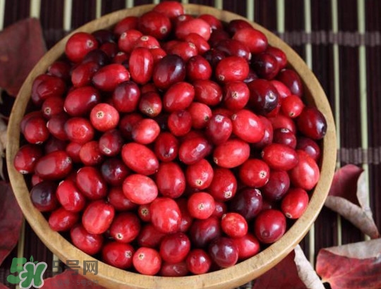 蔓越莓在中國(guó)有嗎？蔓越莓怎么辨別真假
