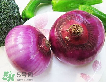 洋蔥狗狗能吃嗎？狗狗吃了洋蔥怎么辦？