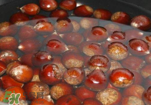 板栗用冷水還是熱水煮？煮板栗用冷水還是熱水？