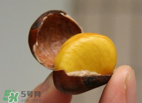 板栗用冷水還是熱水煮？煮板栗用冷水還是熱水？