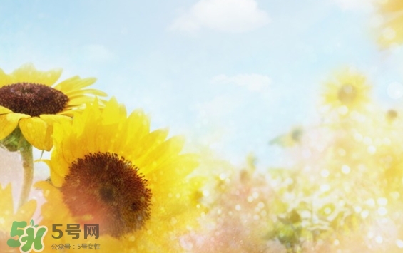 見封滾是什么意思？