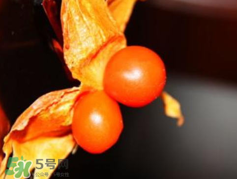 紅姑娘皮泡水治咽炎嗎？紅姑娘皮泡水的副作用