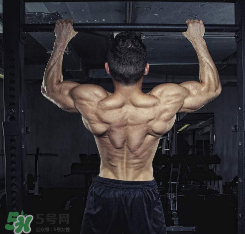 引體向上背部怎么發(fā)力？引體向上發(fā)力技巧